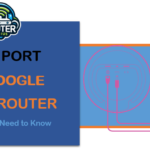 wan port of google nest router